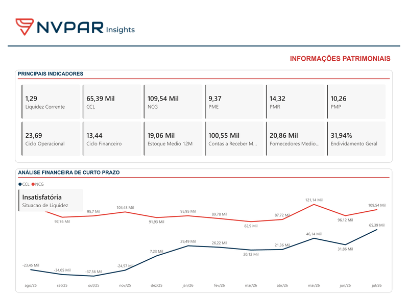 Nvpar Insights: tela de informações patrimoniais com indicadores de liquidez, ciclos e capital de giro